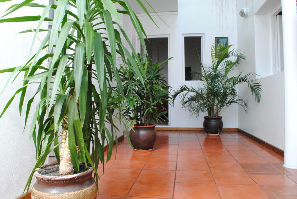 Hotel Romi Colonia del Sacramento Dış mekan fotoğraf